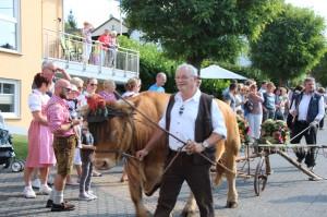 Legendärer Almabtrieb in Niederelbert bei Kaiserwetter 2016